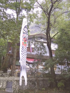 5-Koinobori-OK.jpg