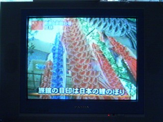 TV-Koinobori.jpg