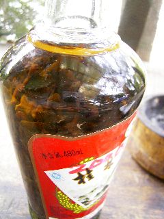 071106-Sake-tuketa-.jpg