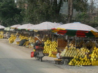 121214-dourozoi-Zabon-Uri-.jpg