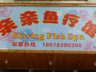 130715-Kissing-Fish-.jpg