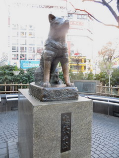 150116-Sibuya-tyukenhatikou-.jpg