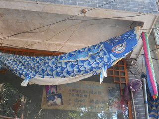 150915-koinobori-torituke-.jpg