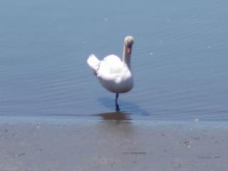 DSCN0546.JPG