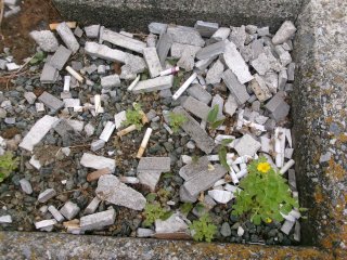 102_2472.JPG