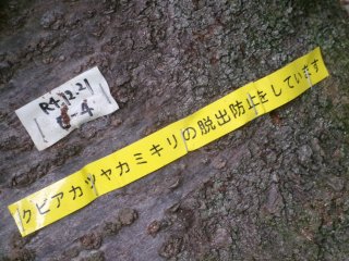 102_2474.JPG