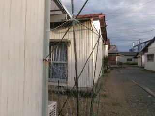 102_2503.JPG