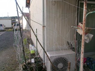 102_2504.JPG