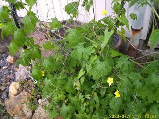 DSCF0077.JPG