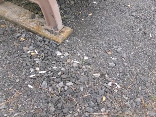 102_2604.JPG