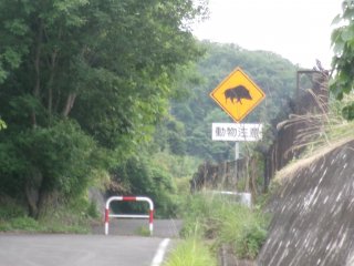 102_2607.JPG