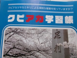 102_2616.JPG