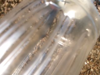 102_2660.JPG