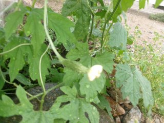 102_2694.JPG