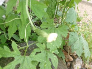 102_2695.JPG