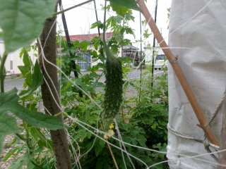 102_2696.JPG