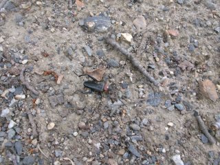 102_2701.JPG