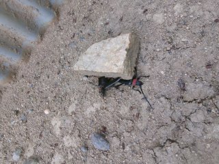 102_2702.JPG