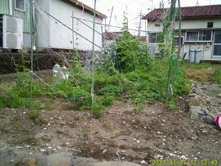 DSCF0079.JPG