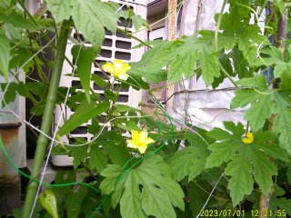 DSCF0081.JPG