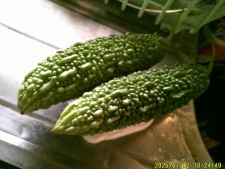 DSCF0096.JPG