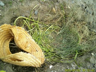 DSCF0131.JPG