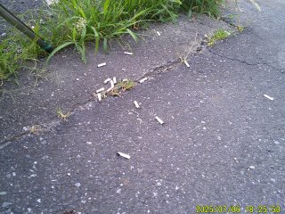 DSCF0095.JPG