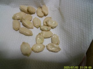 DSCF0102.JPG