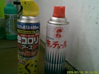 DSCF0115.JPG