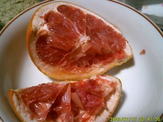 DSCF0125.JPG