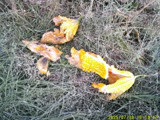 DSCF0126.JPG