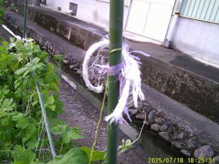 DSCF0129.JPG