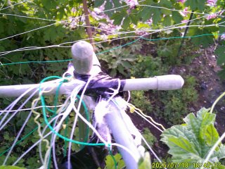 DSCF0132.JPG