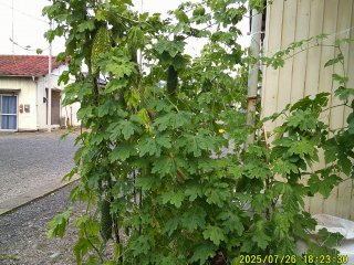 DSCF0139.JPG