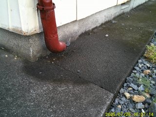 DSCF0140.JPG