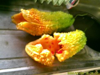 DSCF0137.JPG