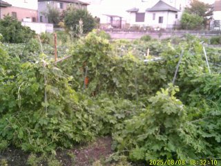 DSCF0146.JPG