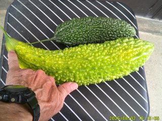 DSCF0141.JPG