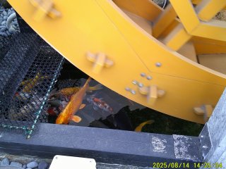 DSCF0157.JPG