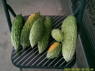DSCF0147.JPG