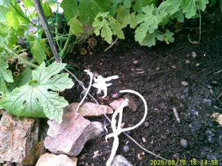 DSCF0154.JPG