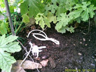 DSCF0155.JPG