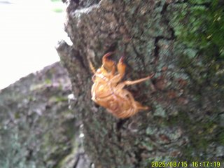DSCF0161.JPG