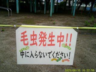 DSCF0166.JPG