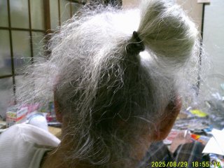 DSCF0216.JPG