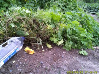 DSCF0234.JPG