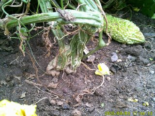 DSCF0235.JPG
