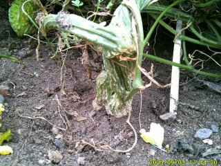 DSCF0236.JPG