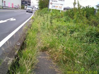 DSCF0244.JPG