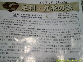 DSCF0245.JPG